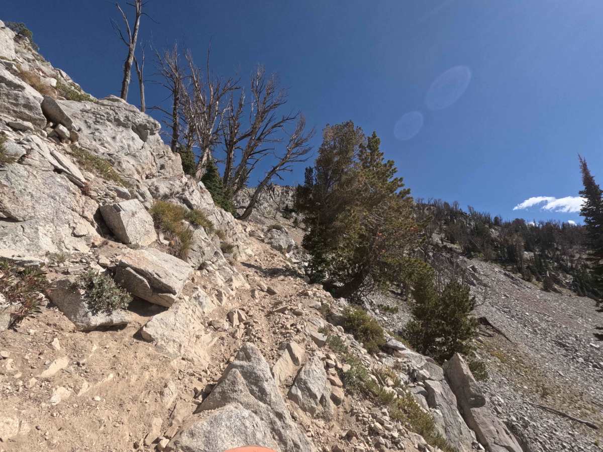Bass Creek - FS 7061 trail photo