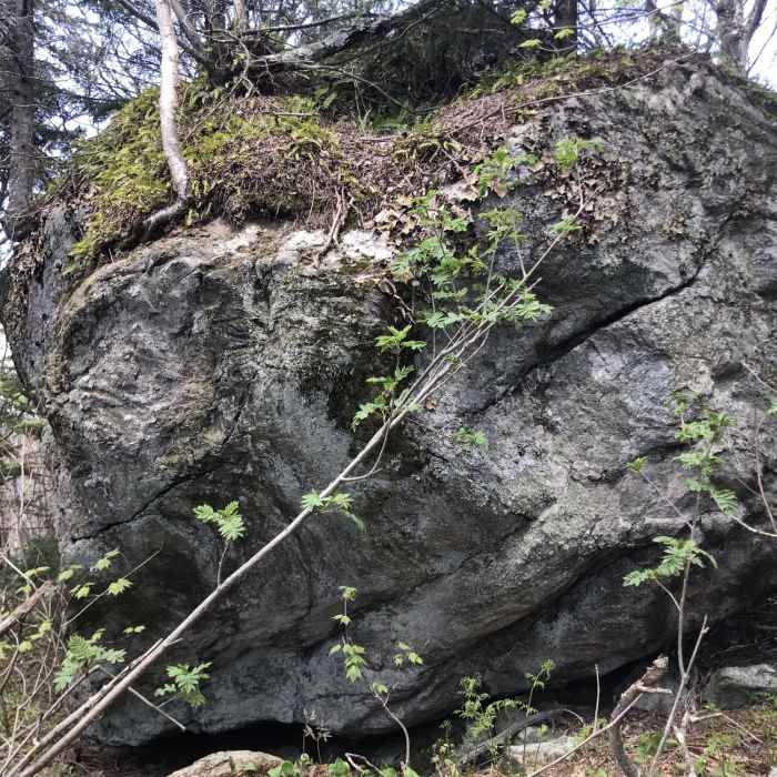 Big Boulder Near The Long Trail (Division 6)