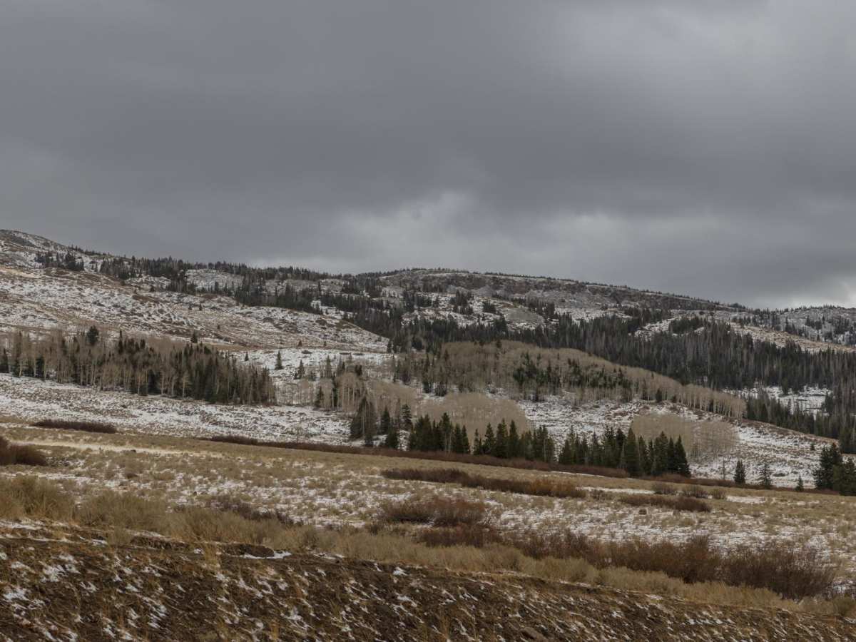 Lost Creek Road trail photo