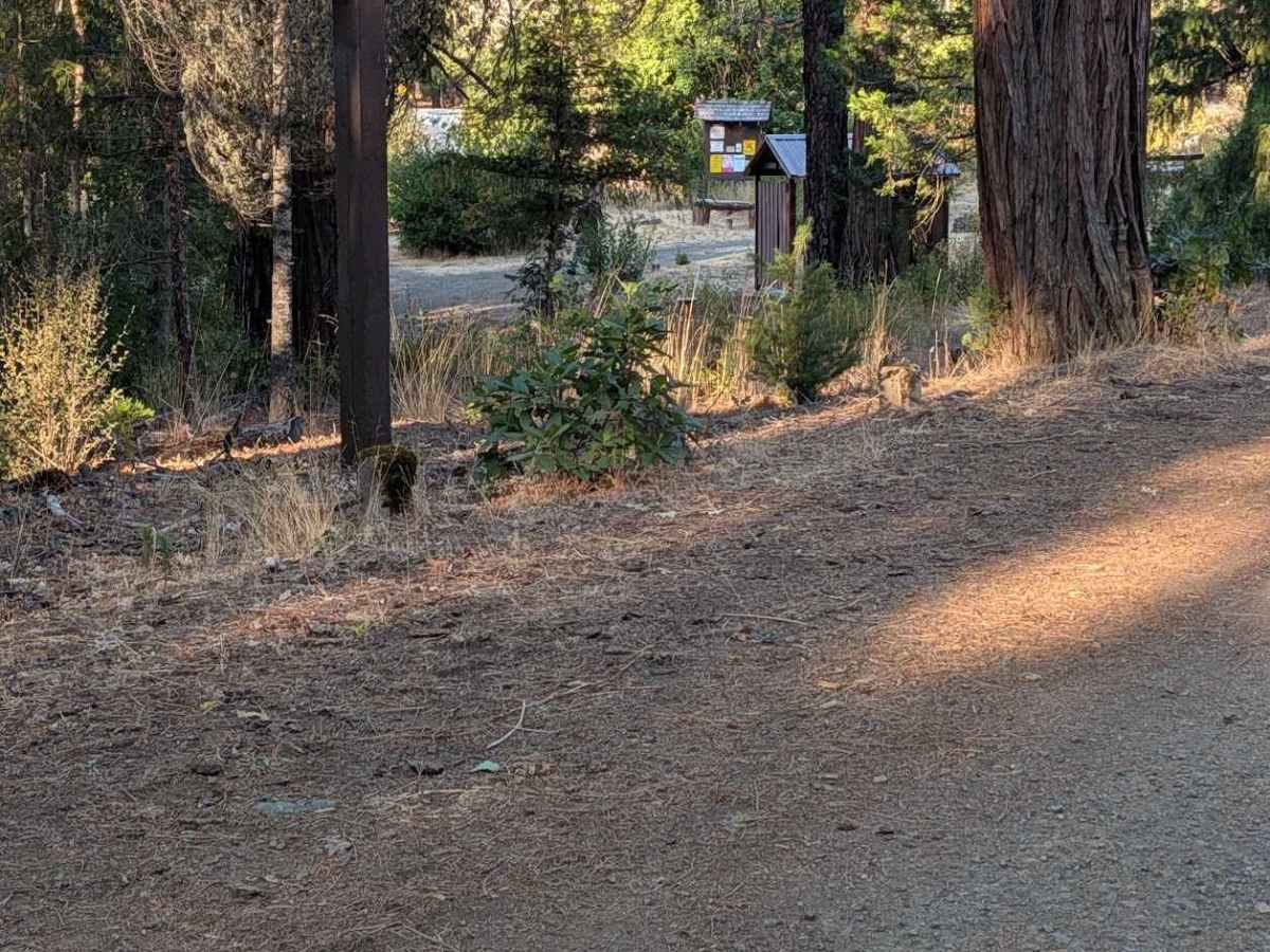 Plummer Peak Road - FS 30N31  photo 4