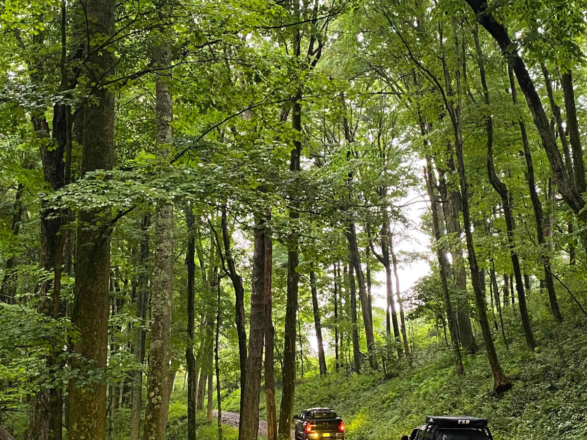 Close Mountain Road photo 4