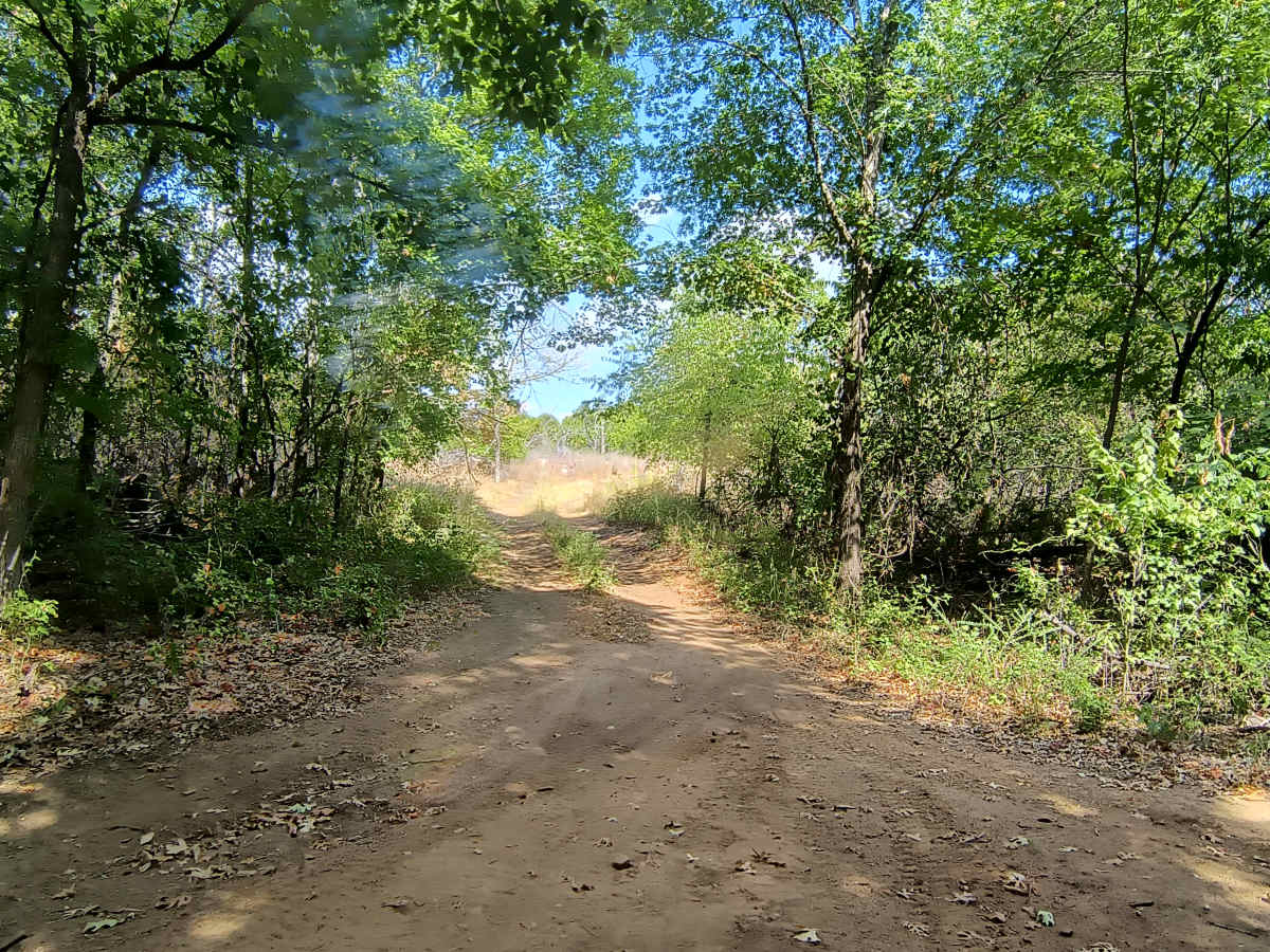 Blue 66 trail photo