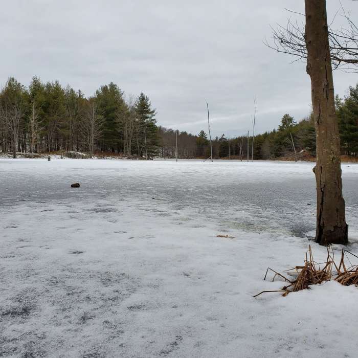 The lake has swollen and frozen. Near Depot Lake Loop