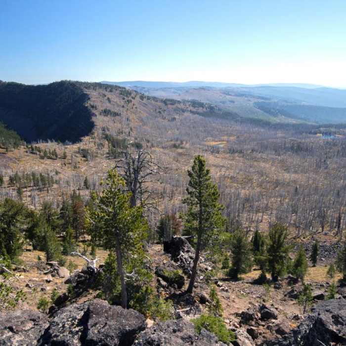 Near Strawberry Mountain Wilderness Loop