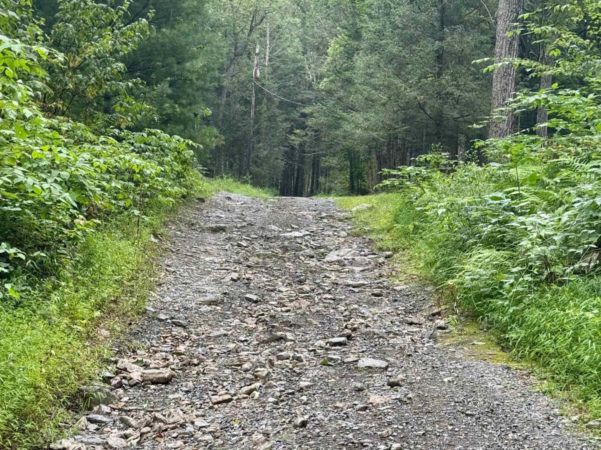 Pennsylvania Furnace Road photo 5