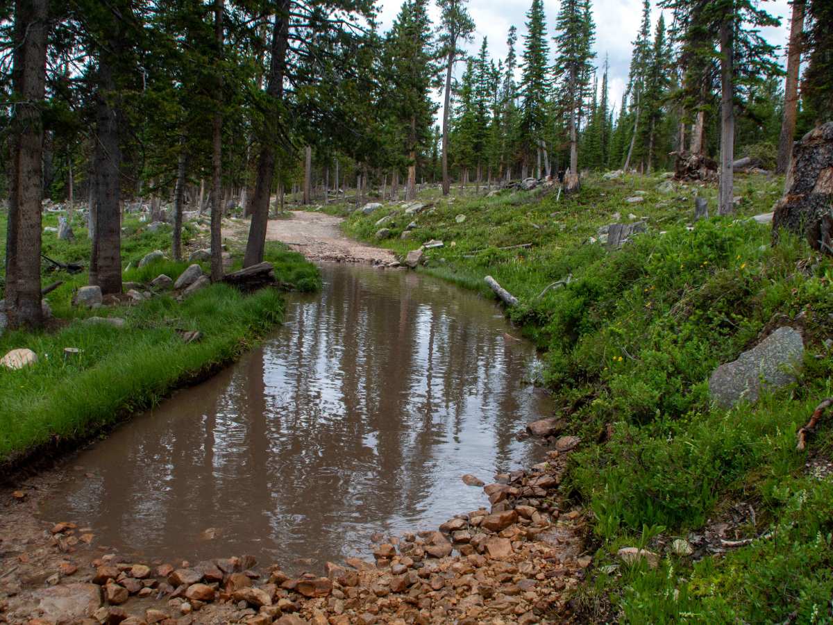 Blue Lake Loop - FS 80531 photo 2
