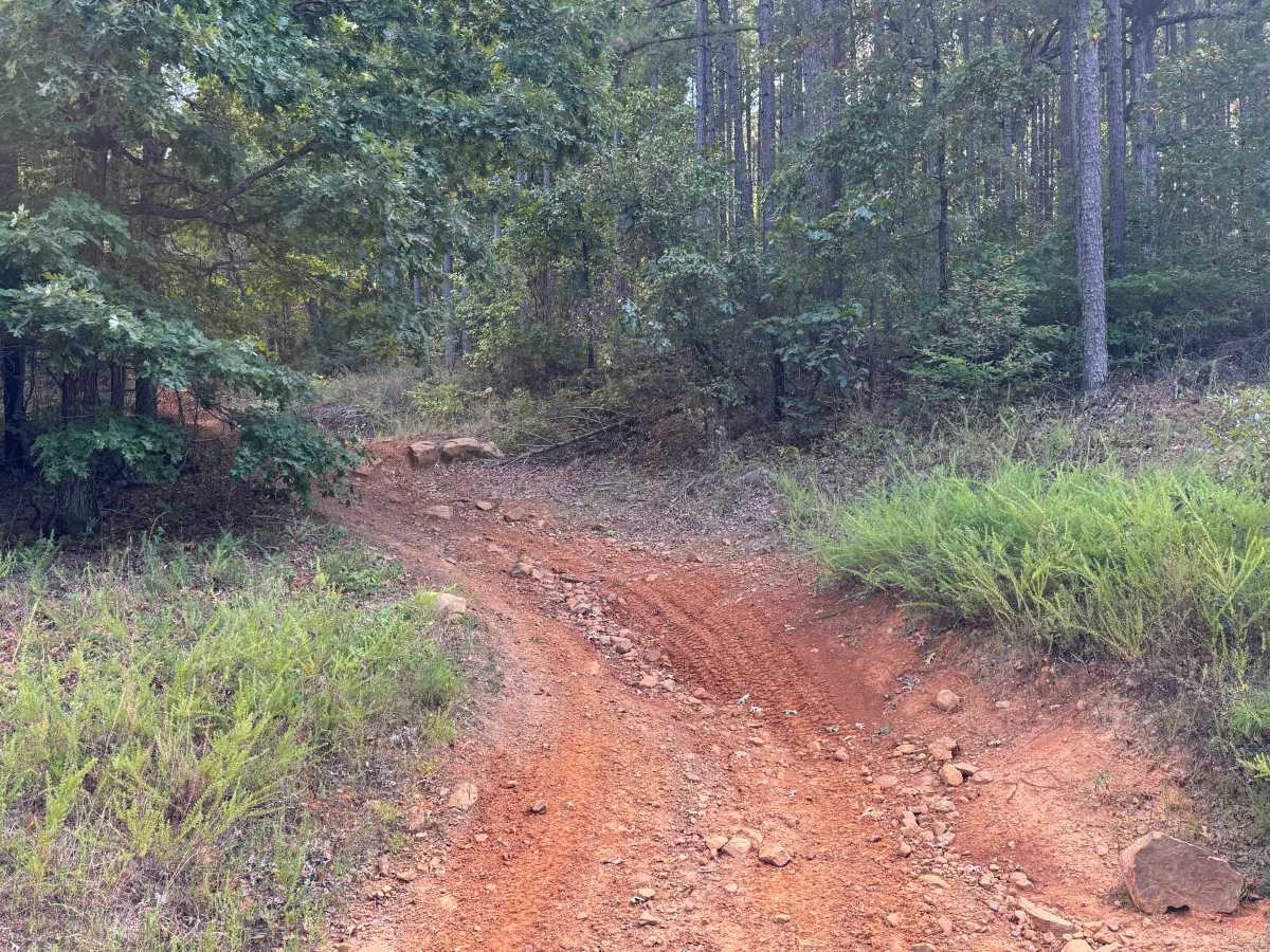 Huckleberry Mountain Orange trail photo
