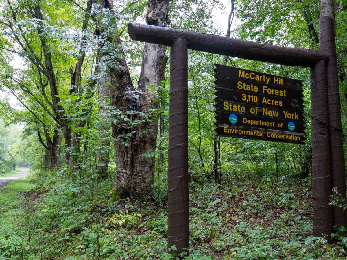 Mutton Hollow Road photo 4