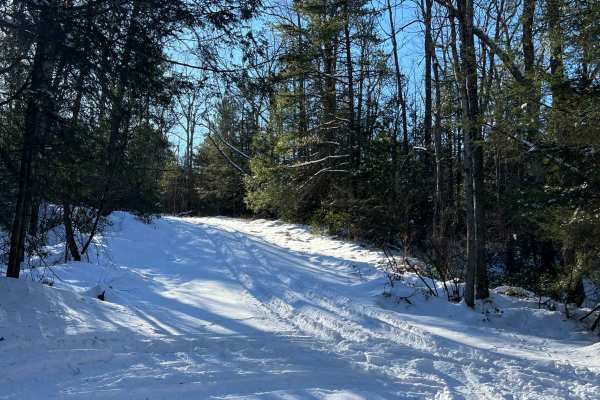 Wohlford Gap Trail