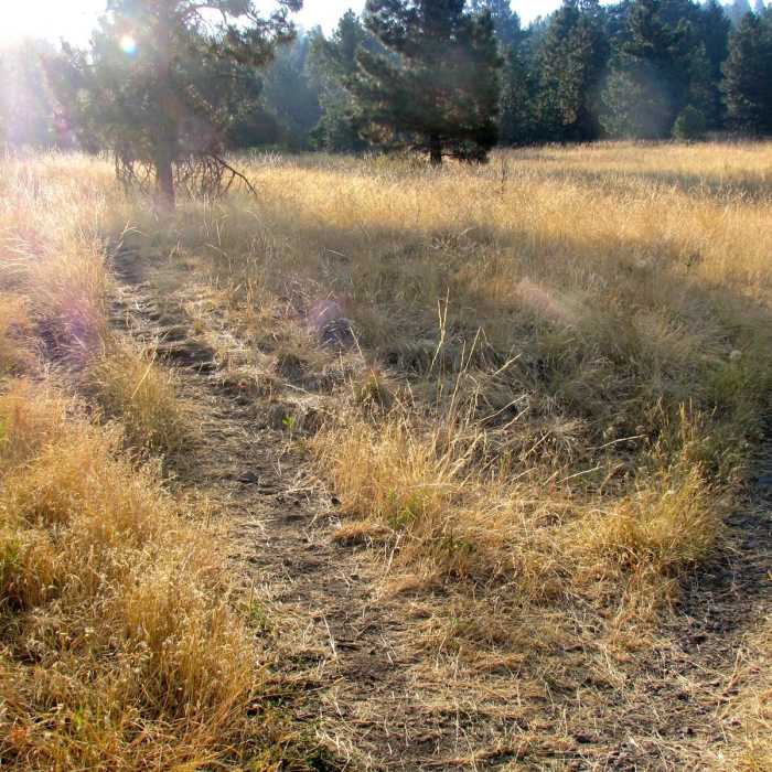 Near Mount Jumbo via the Tivoli Trail