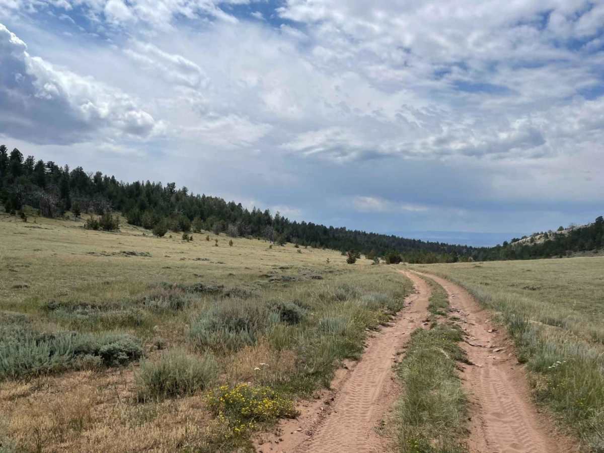 West Pilot Hill Road and Laycock Spring photo 5