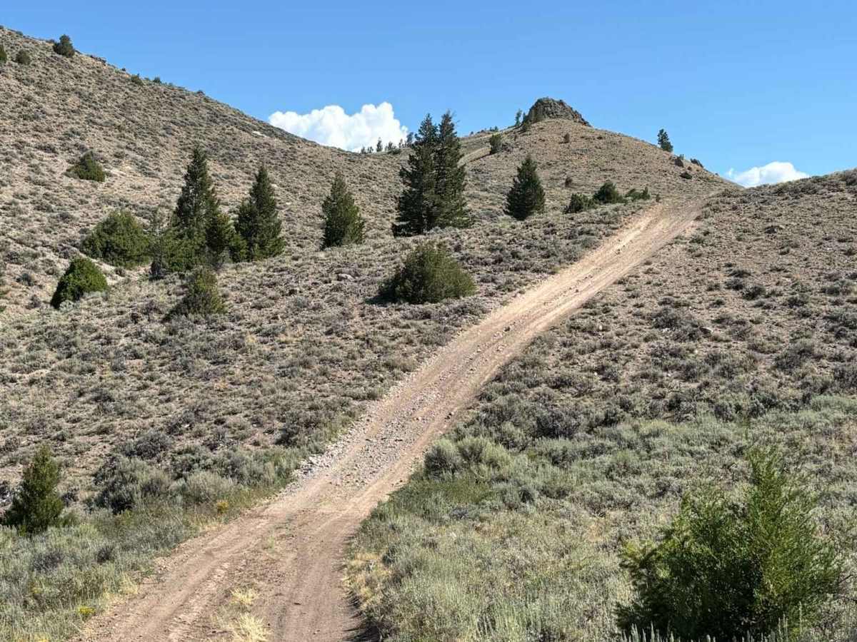 Northern Little Wolford Mountain photo 4