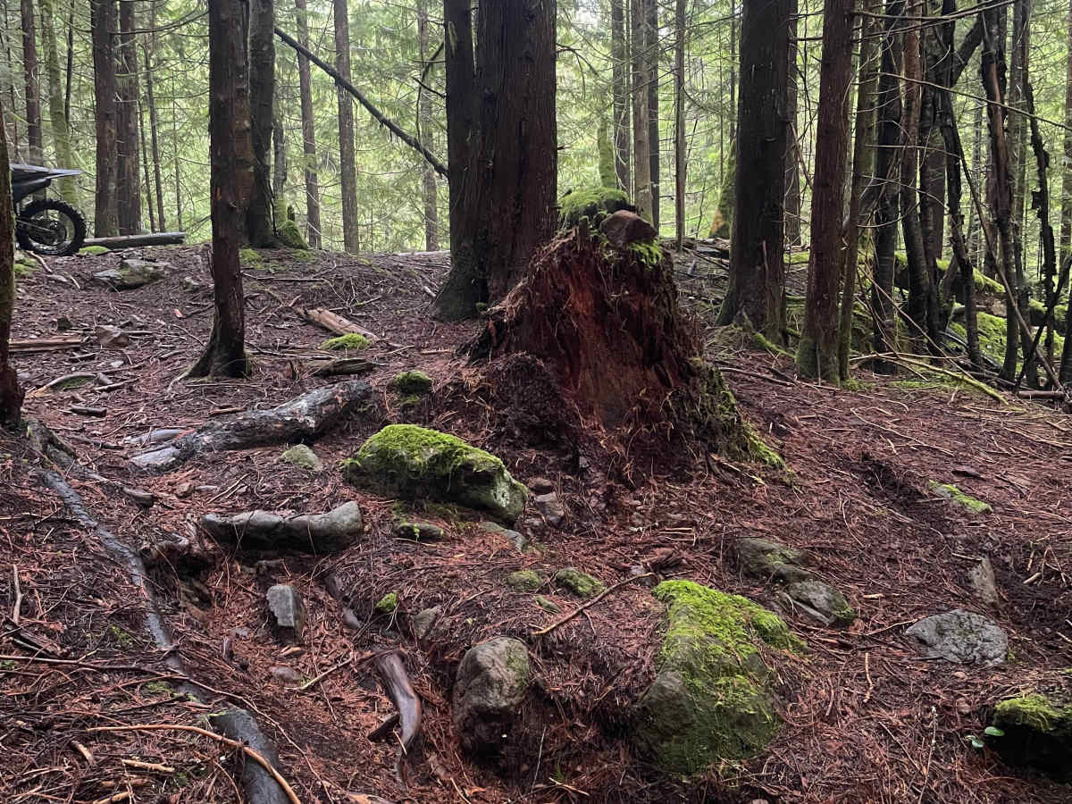 Sleepy Hallow Alternative trail photo