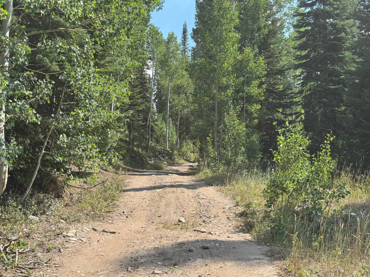 English Creek Road photo 4