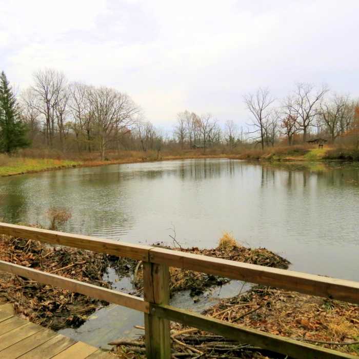 Near Camp Creek Trail Near Camp Creek Trail