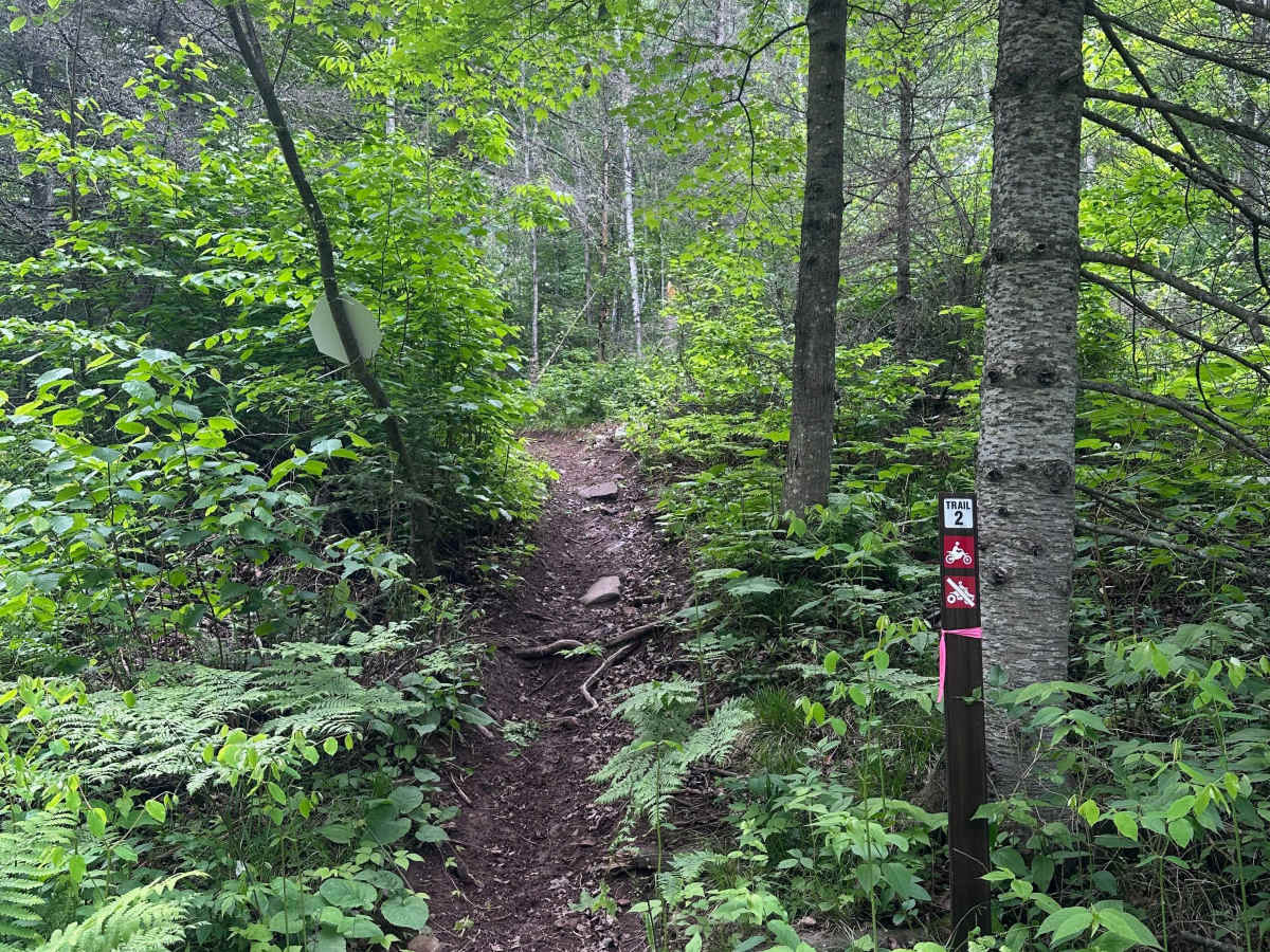 Alger Grade - Trail 2 trail photo
