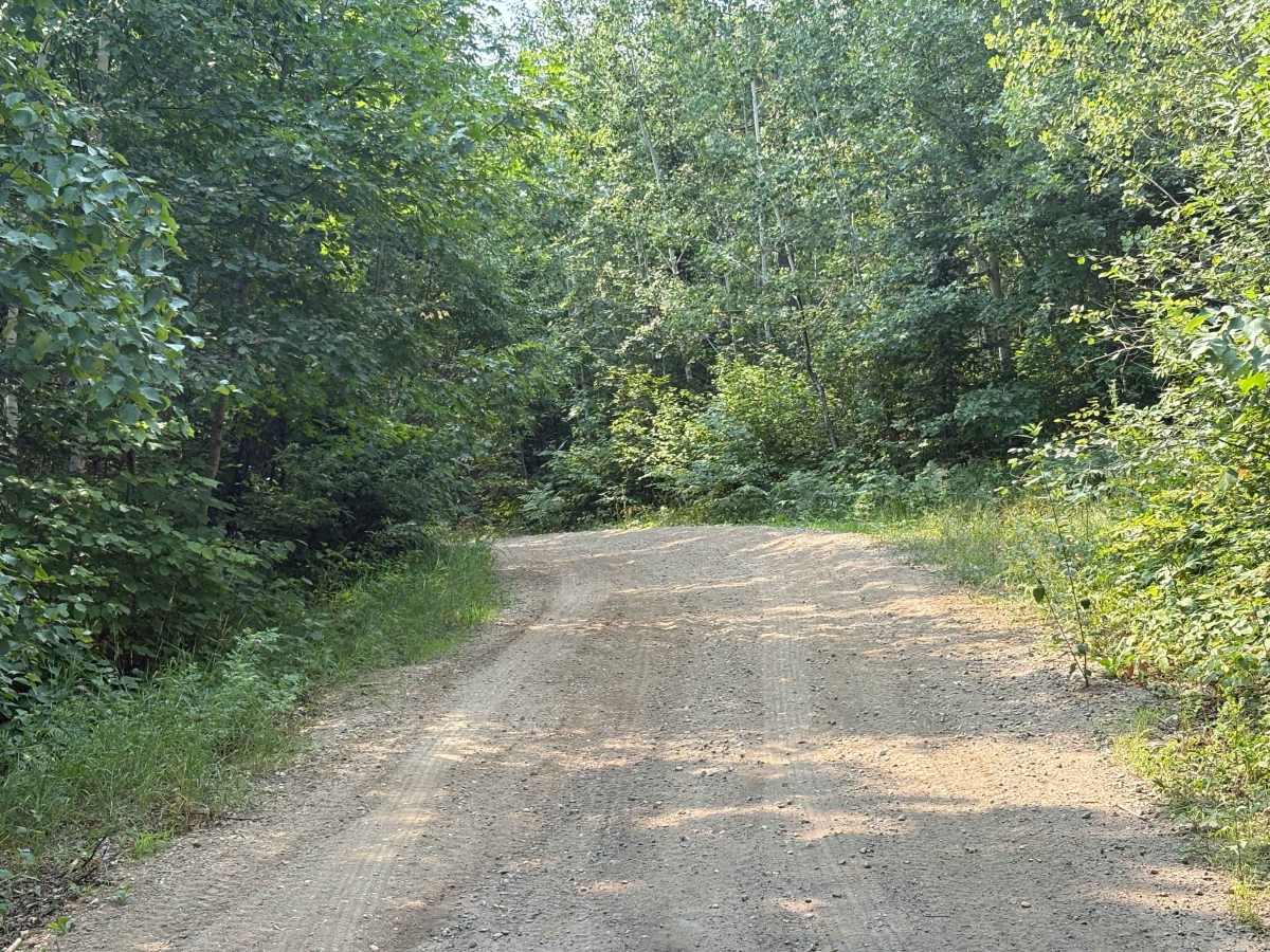 Forest Road 0402 photo 2