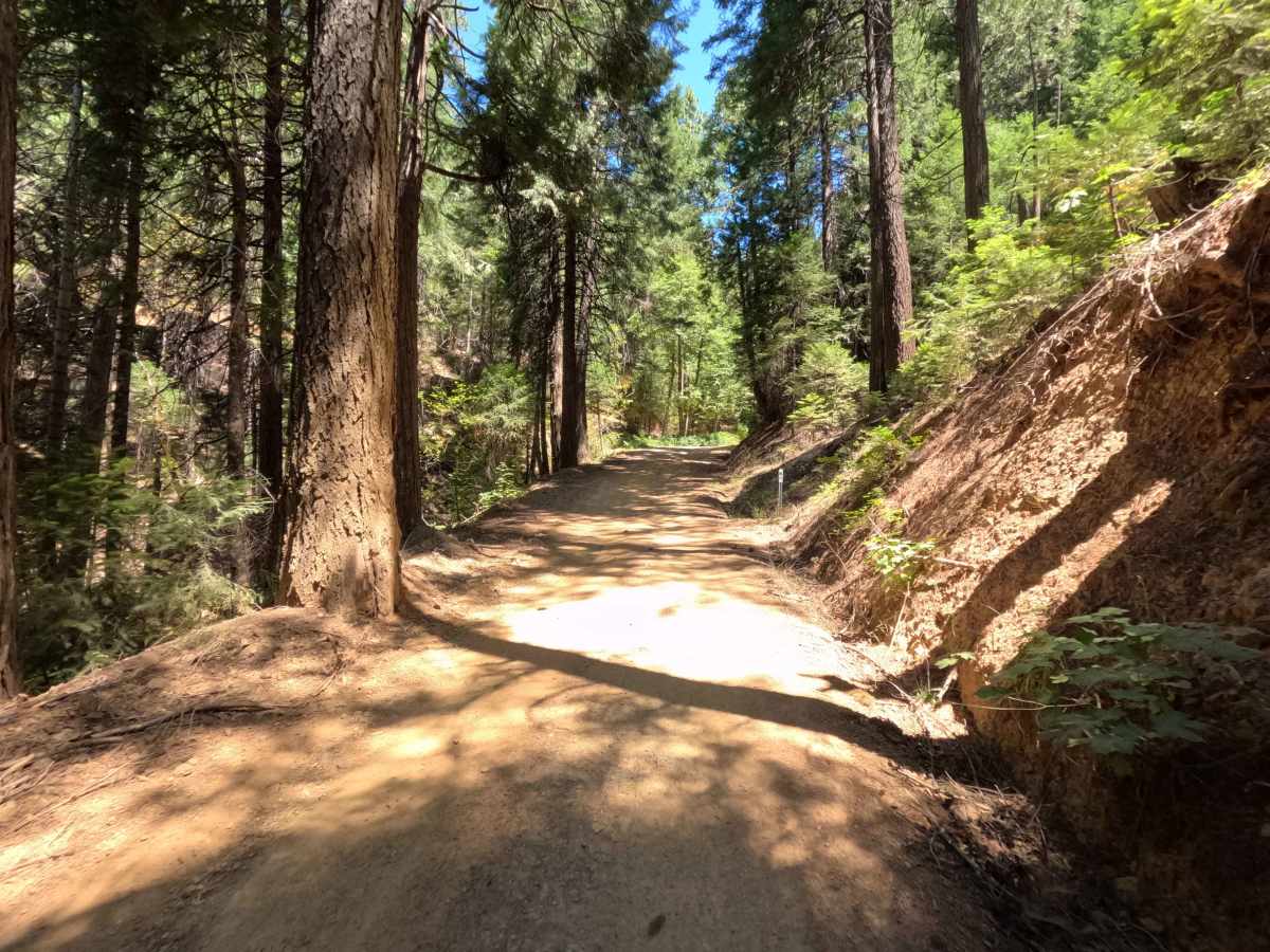 Saddleback Road - CR 509 photo 5