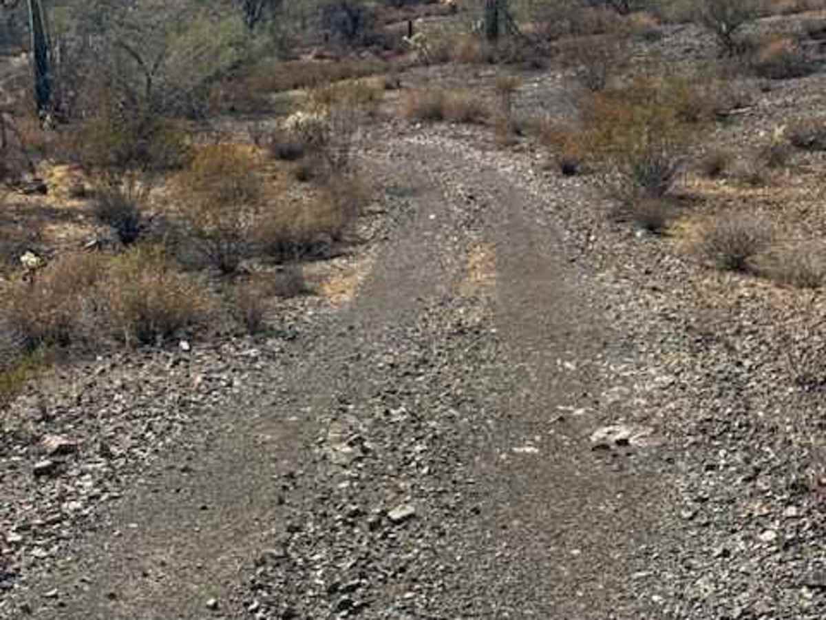BLM 38070 photo 5