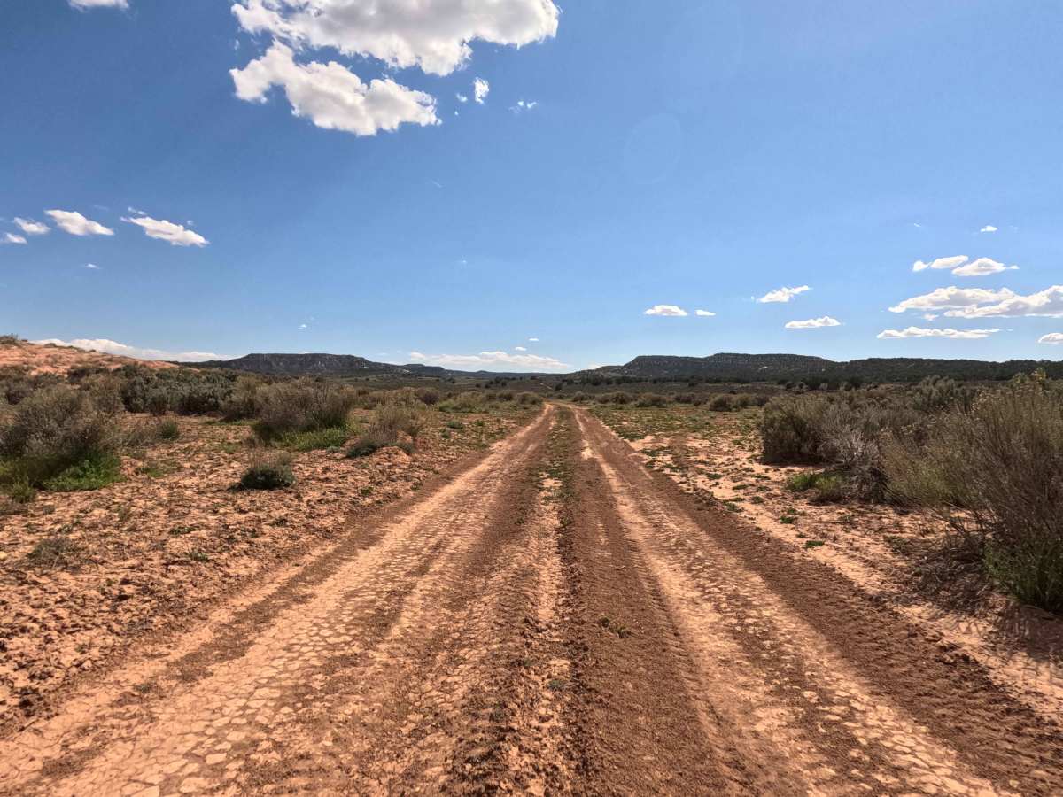 BLM 42 photo 5