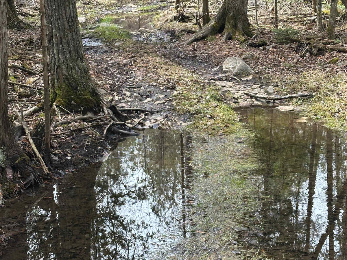 Lower Mud Run photo 4