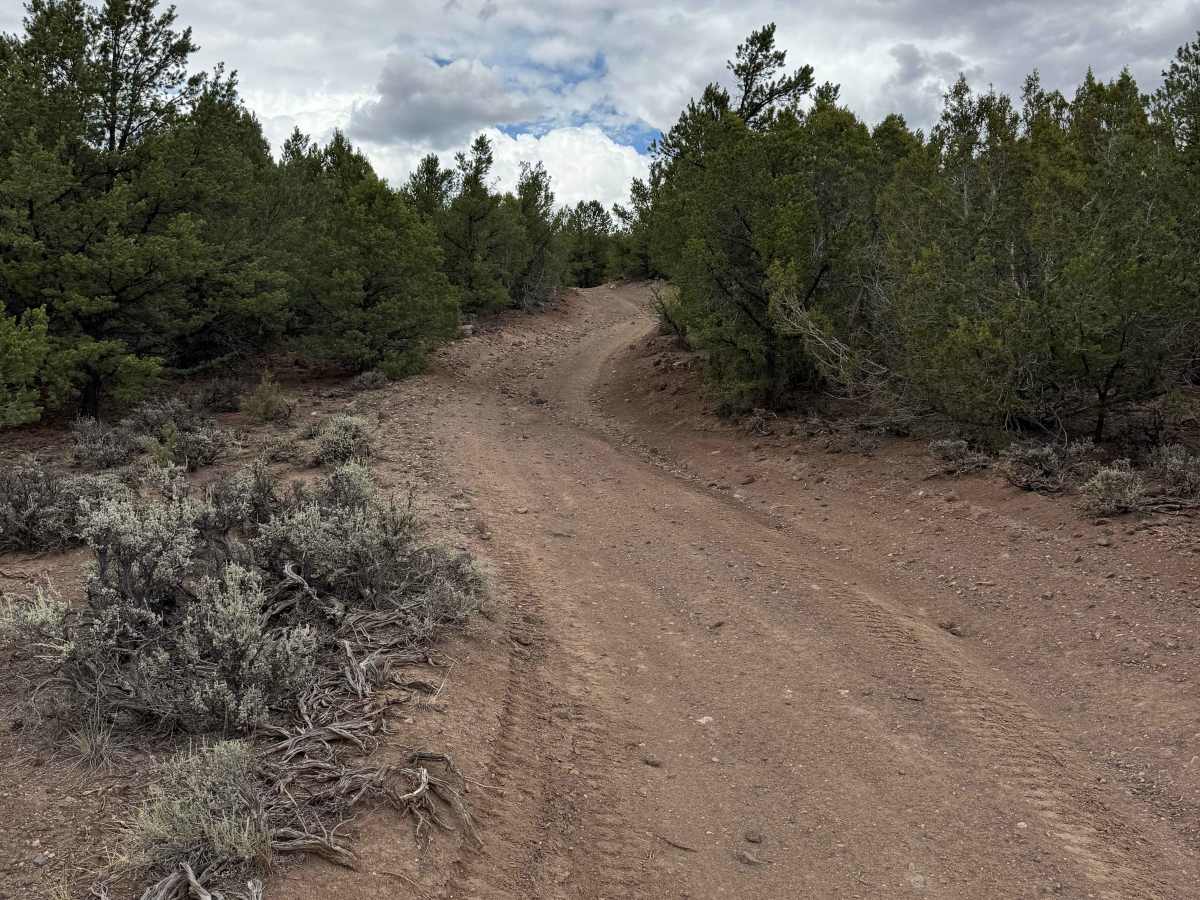 Little Cemetery Road photo 5