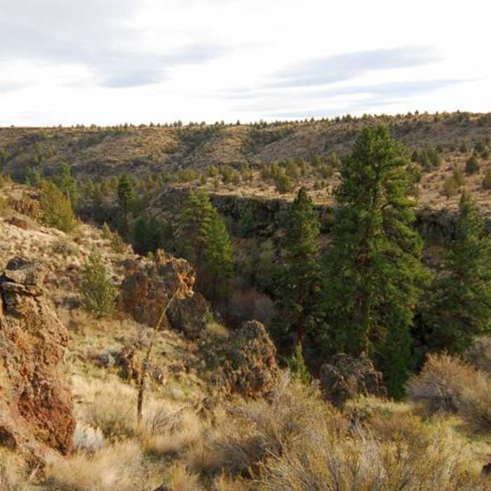 Near Lower Whychus Creek Trail