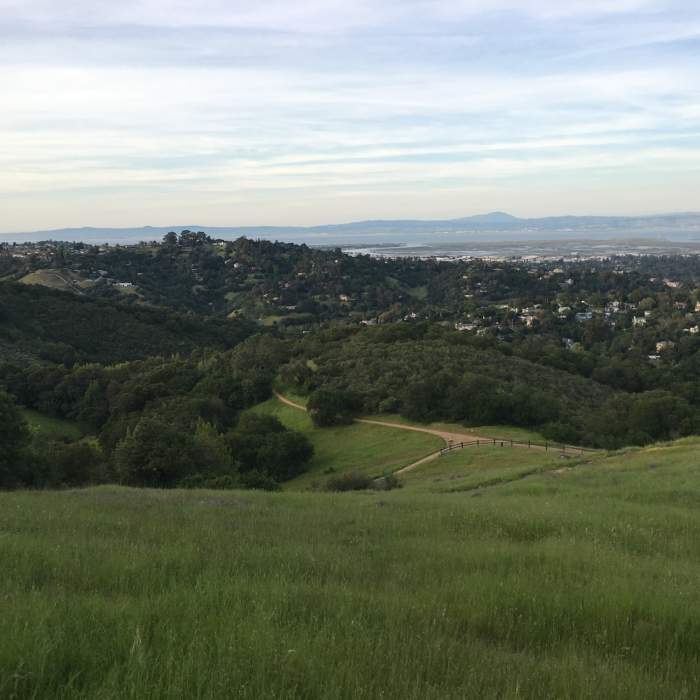 Near Sylvan Trail
