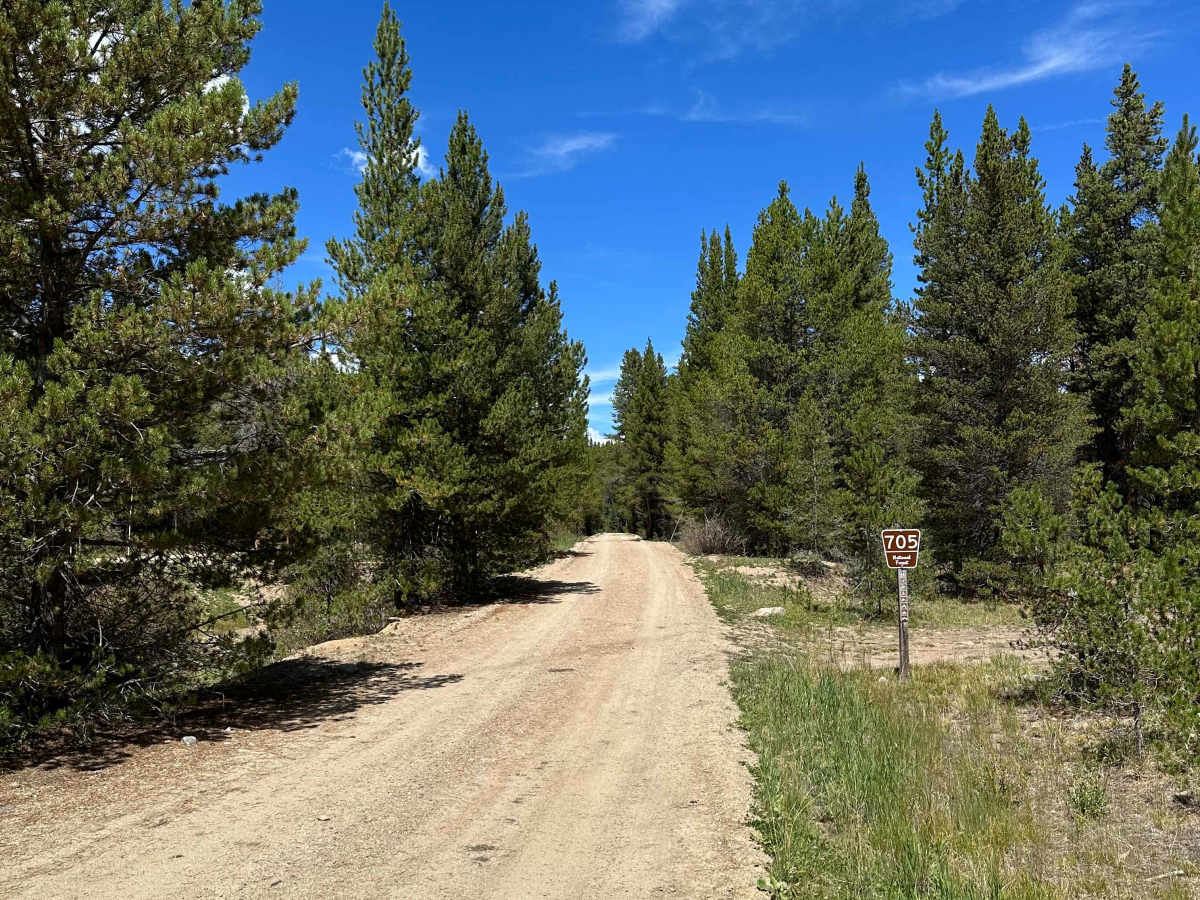 No Name Road trail photo