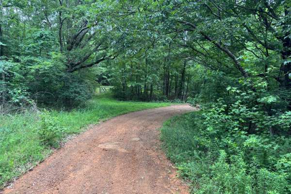 Big Flat/Butts Ridge