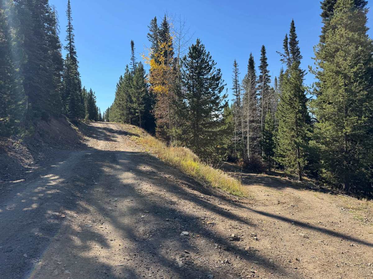 FS 511-1A, Colorado | Off-Road Trail Maps, Difficulty, Trail Status ...