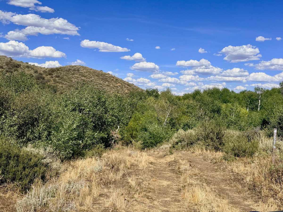 Deadman Springs - FS 56219 photo 4