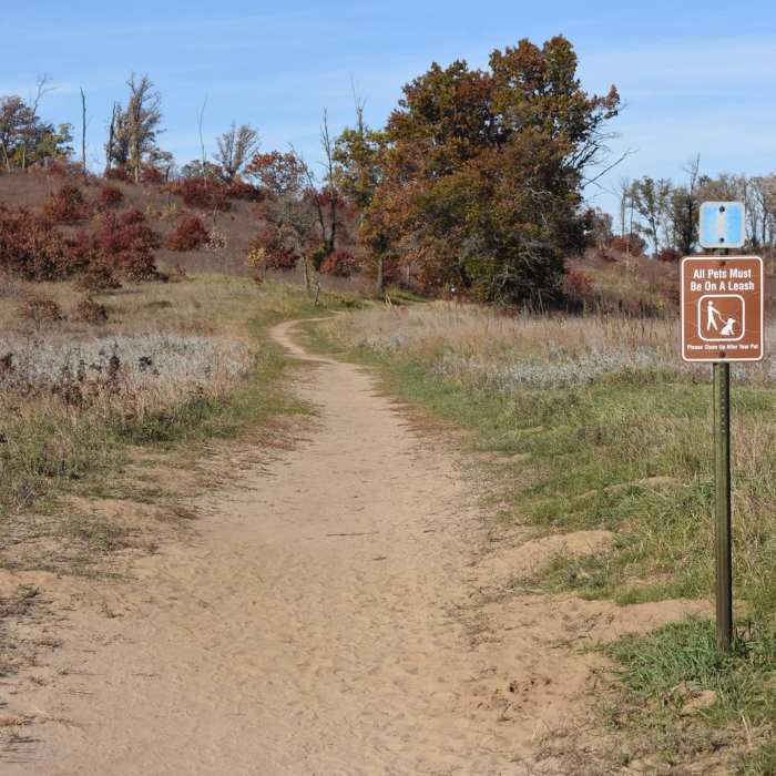 Near Blue Hill Trail Near Blue Hill Trail