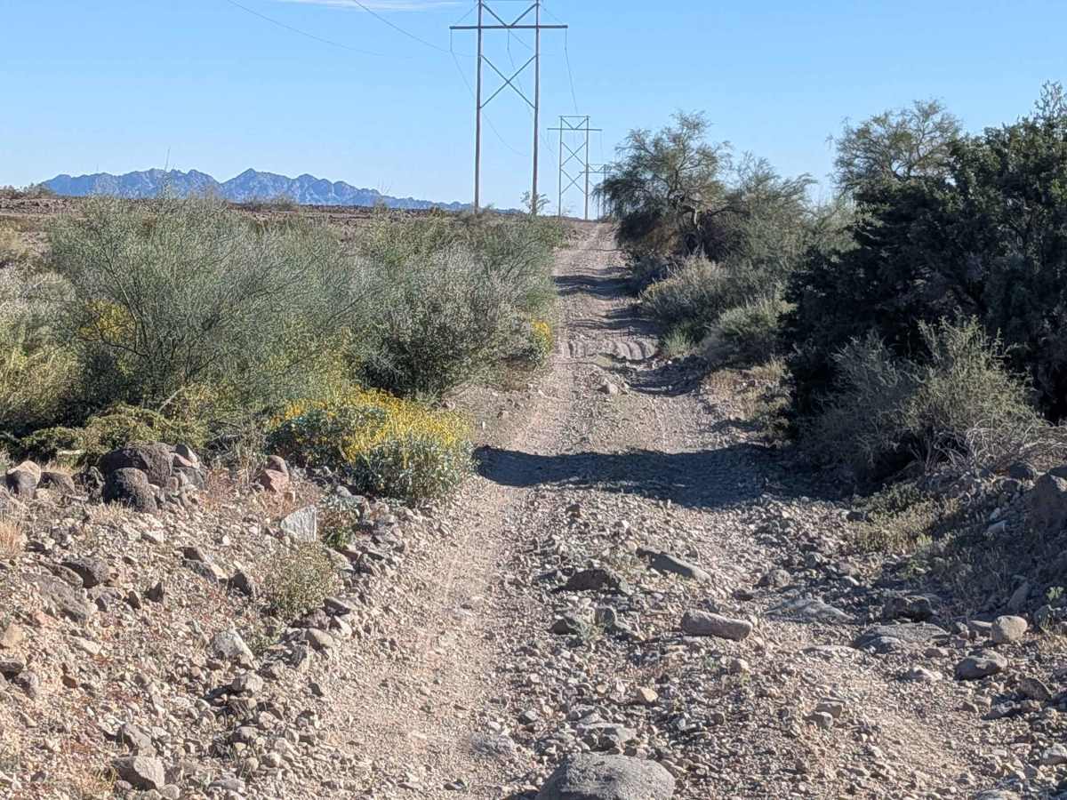 BLM 592 photo 3