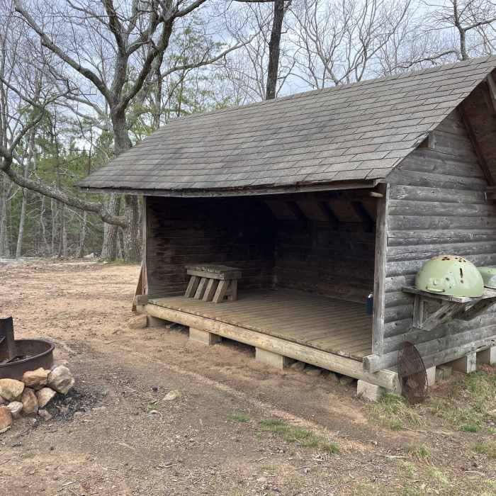 Near Pinhoti Trail: Section 13