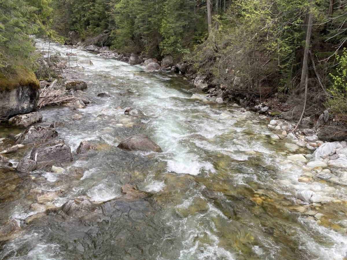 Cottonwood Rec to Kingfisher FSR photo 2