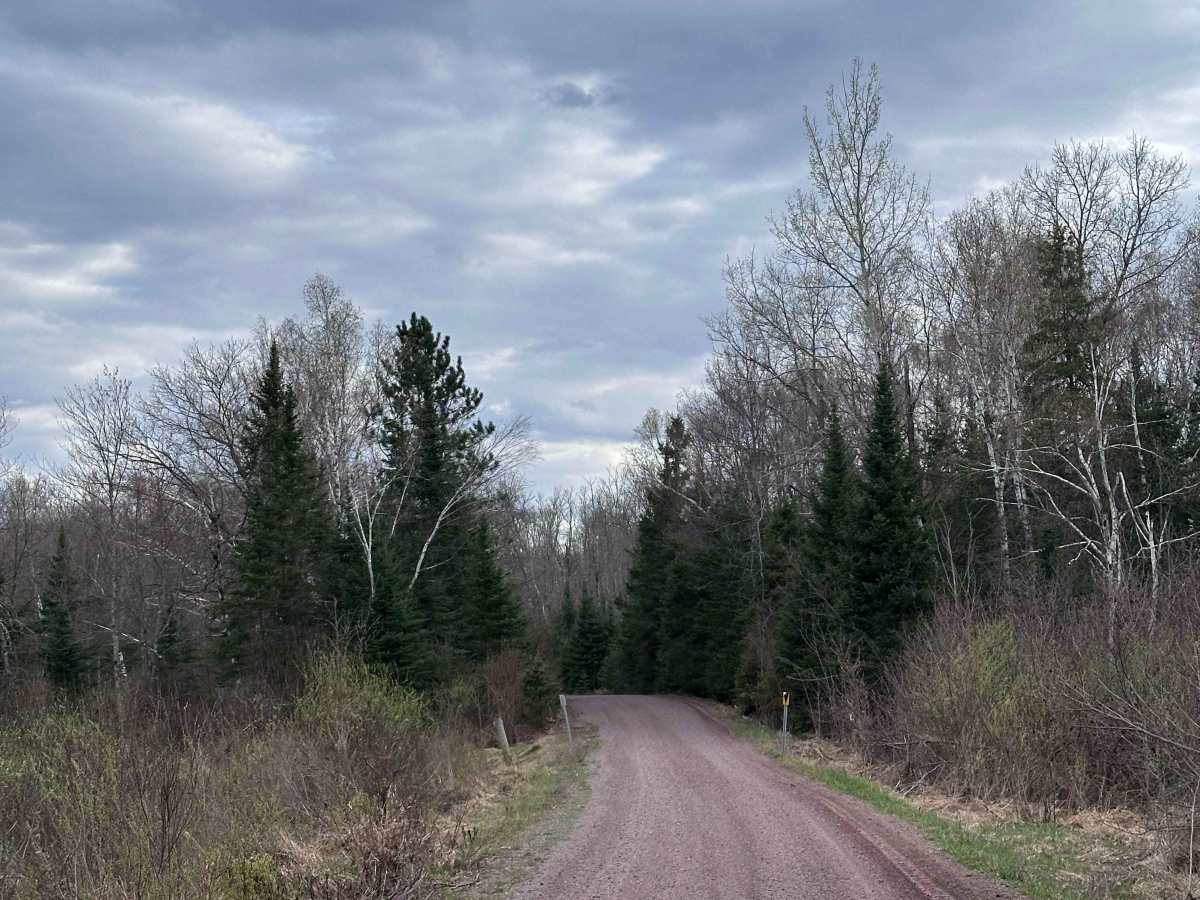 Net Lake Forest Road photo 5