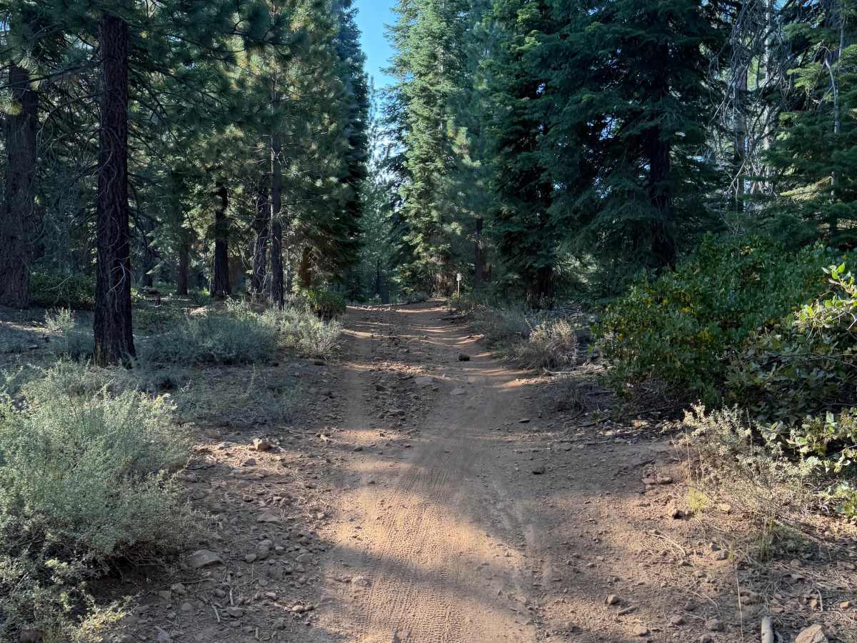 Skidder photo 2