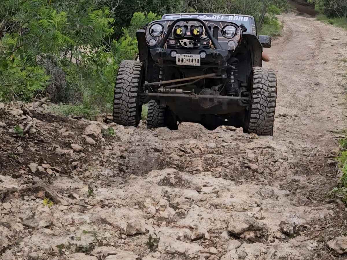 DOMO Hill Loop trail photo