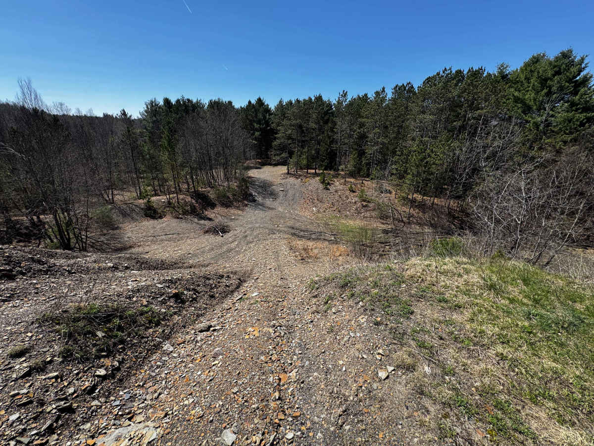 Logway Run Hill Climb Trail photo 3