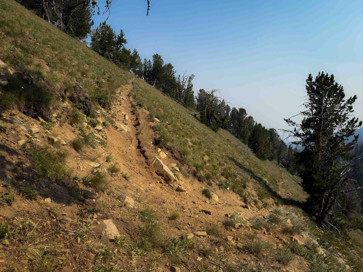 Summit Trail photo 2