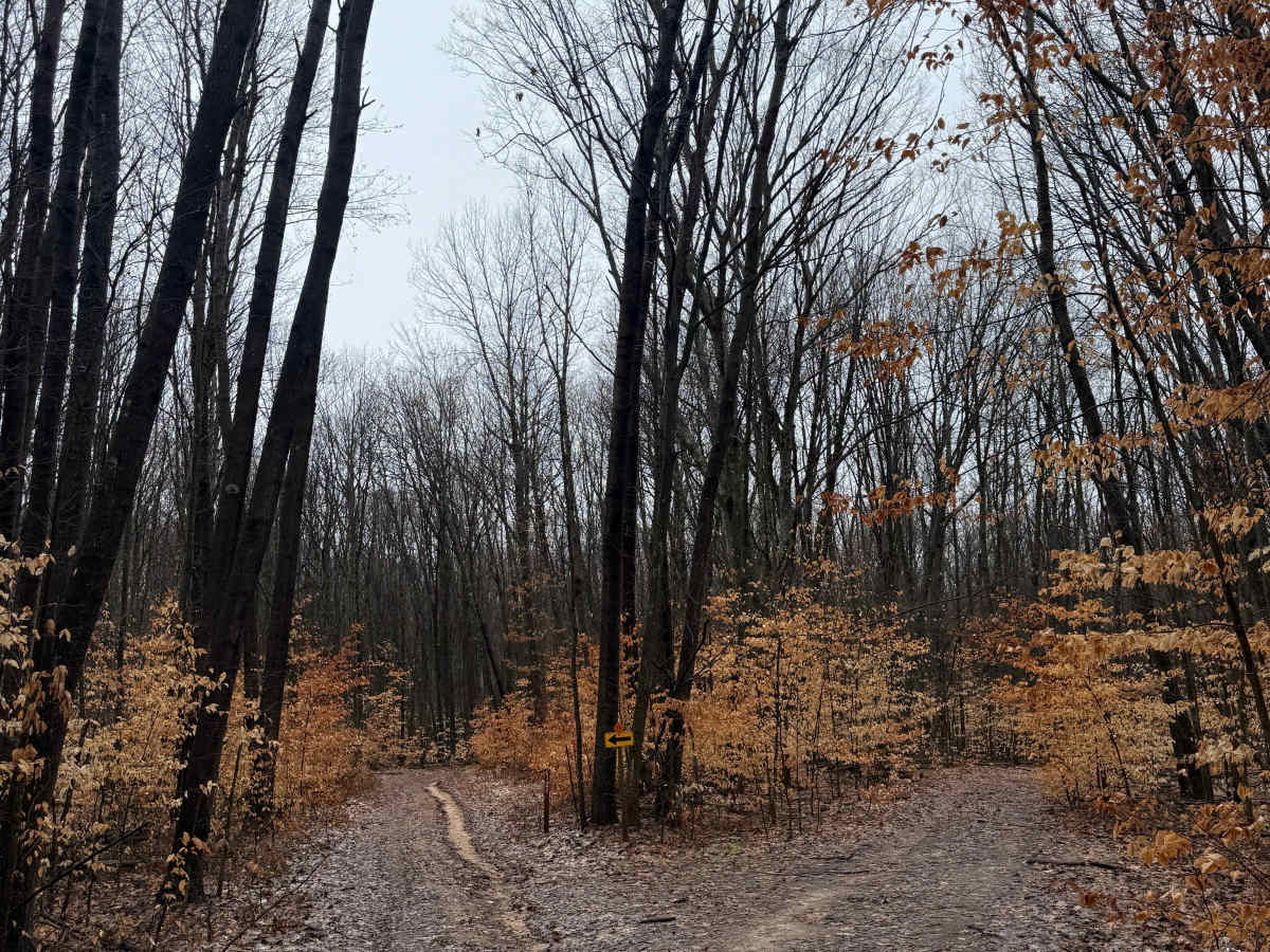 NFS 5316 photo 6