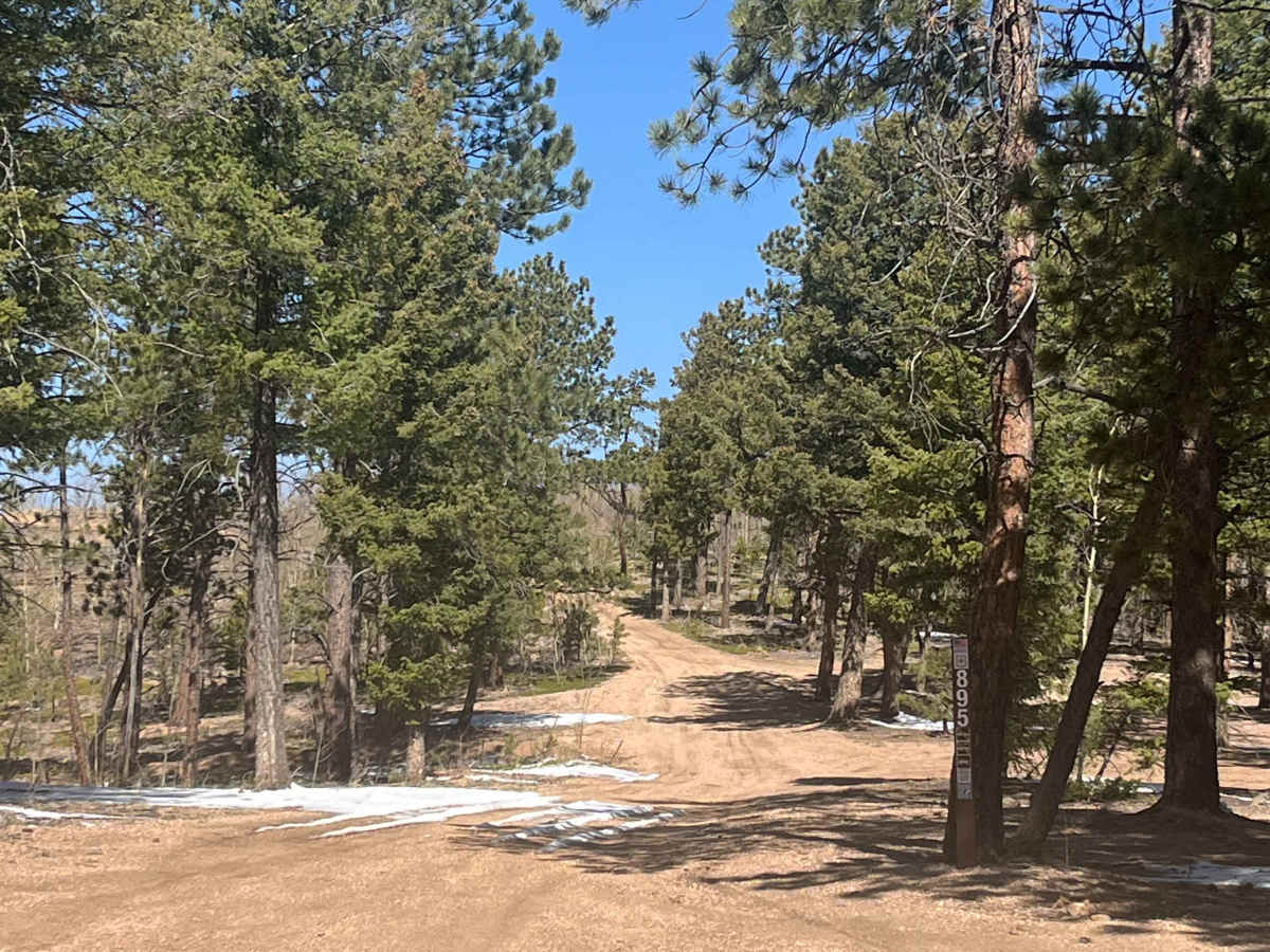 Predator Road photo 4