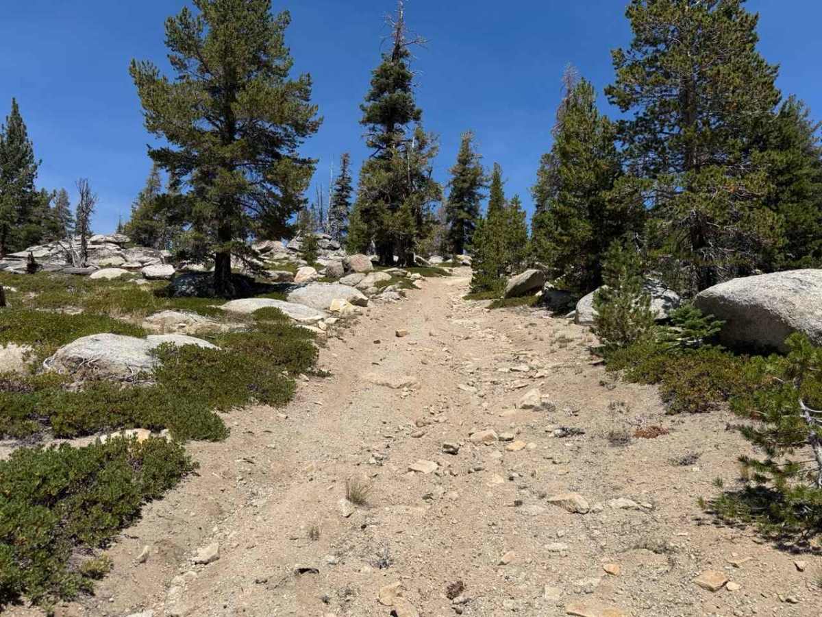 Burnside Spur - FS 31205A trail photo