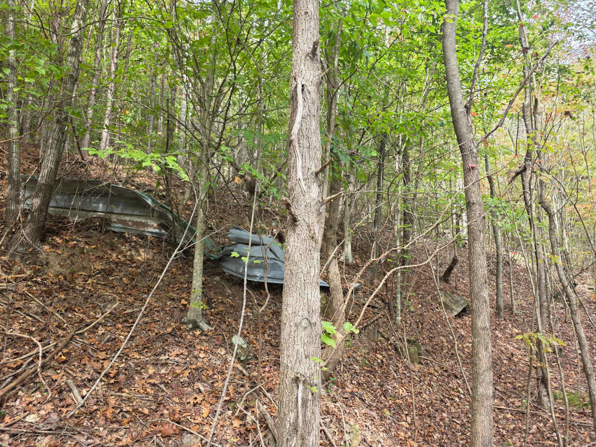 Tin Top Ridge photo 6