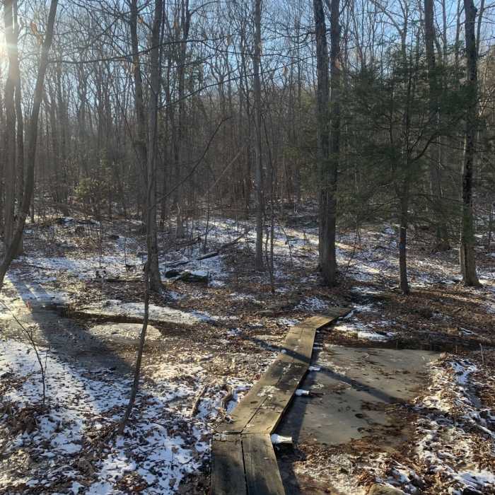 Near Illinois Mountain