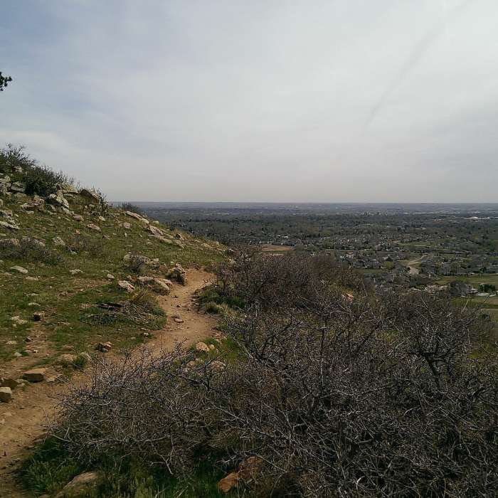 Near Foothills Trail