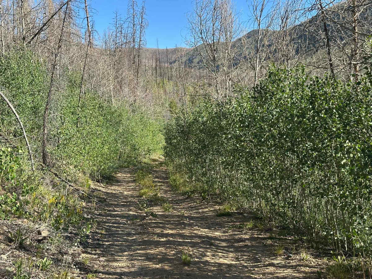 Kinney Creek Road photo 6