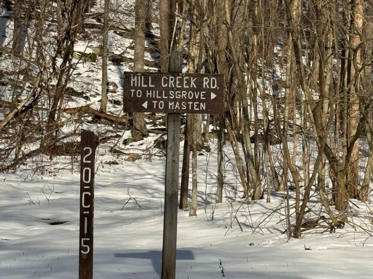 Big Hollow Road photo 2