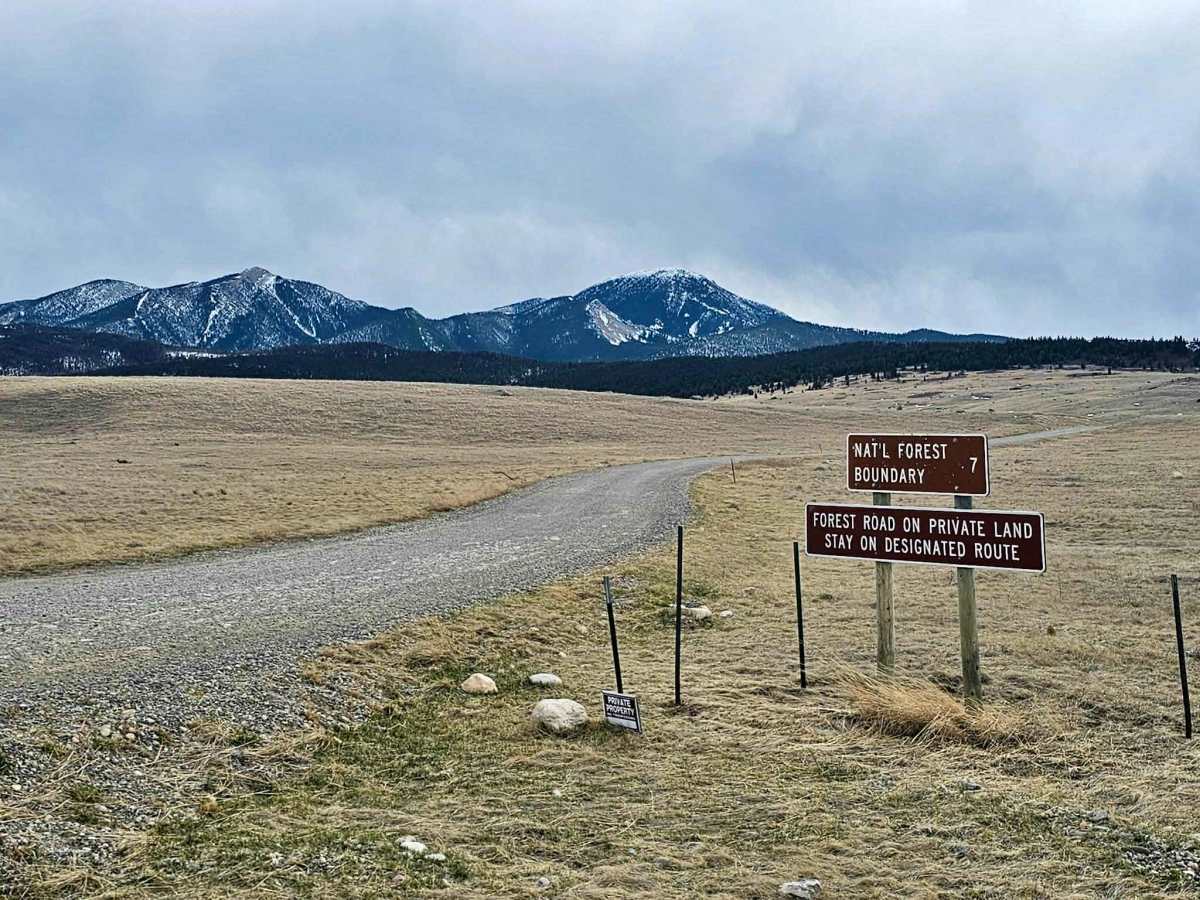 Livingston Peak Road trail photo